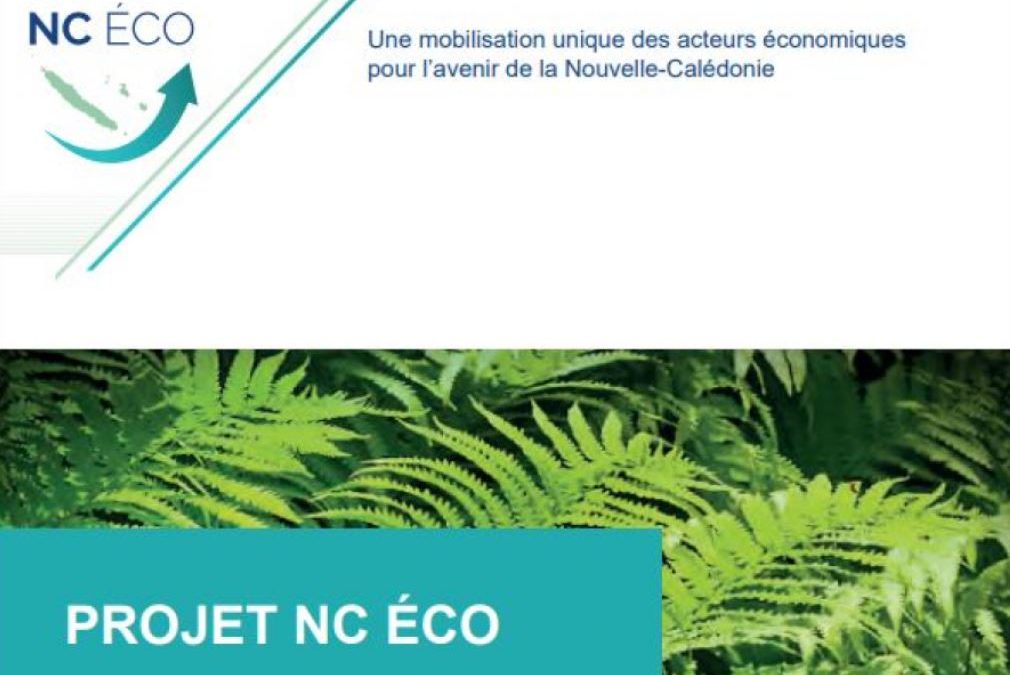 NC ECO, un document phare qui porte la voix du monde économique calédonien